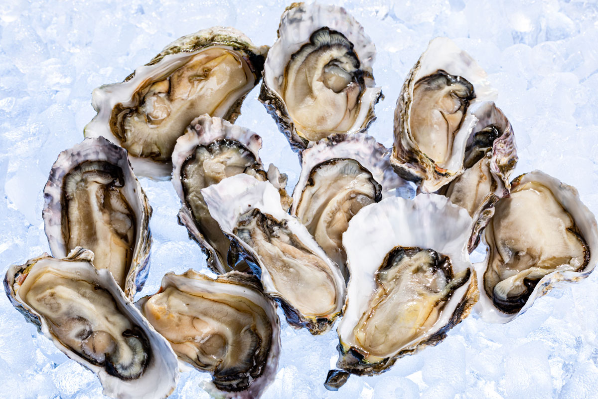 burswoodseafood nzoysters1dz 409.jpg