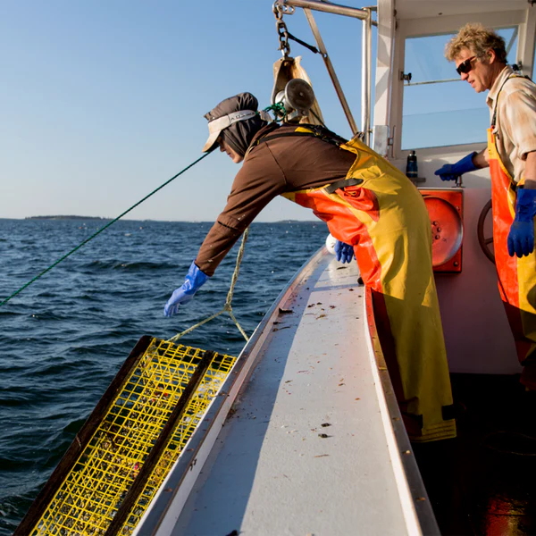 gml lobstering 2048x2048 27066954 0942 42fd 9930 0cd863acbdbe.webp