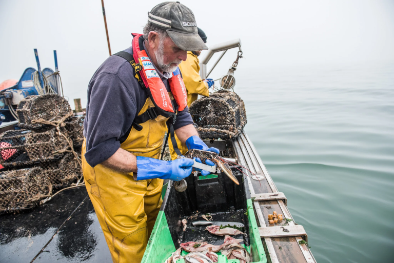 becci lobster boat.webp