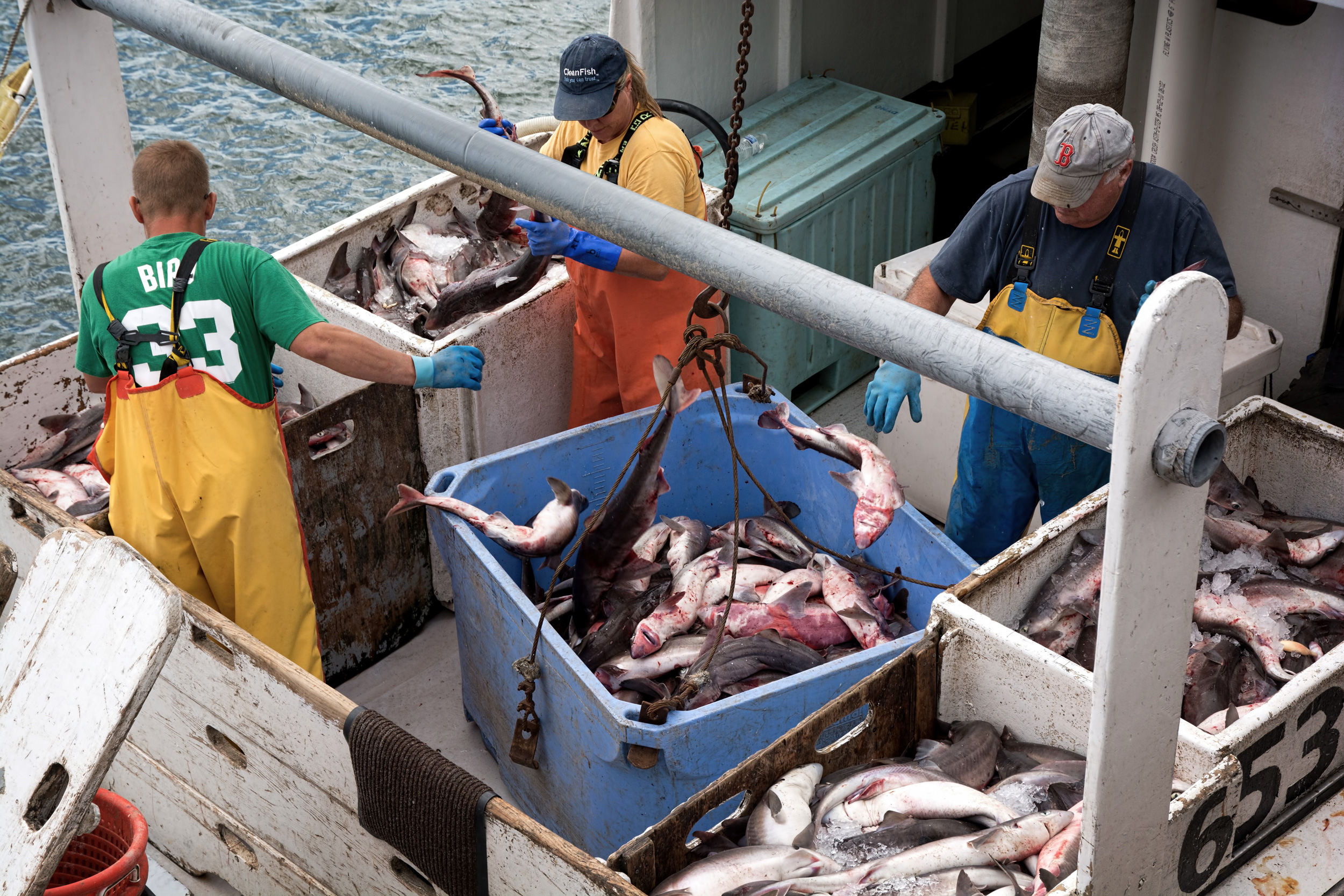 About nhcs community supported fisheries.webp