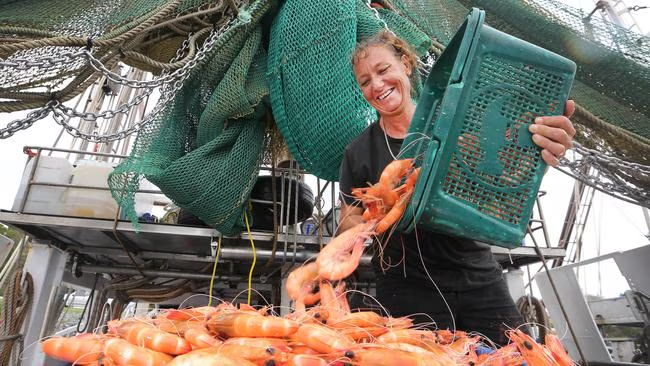 prawn.png