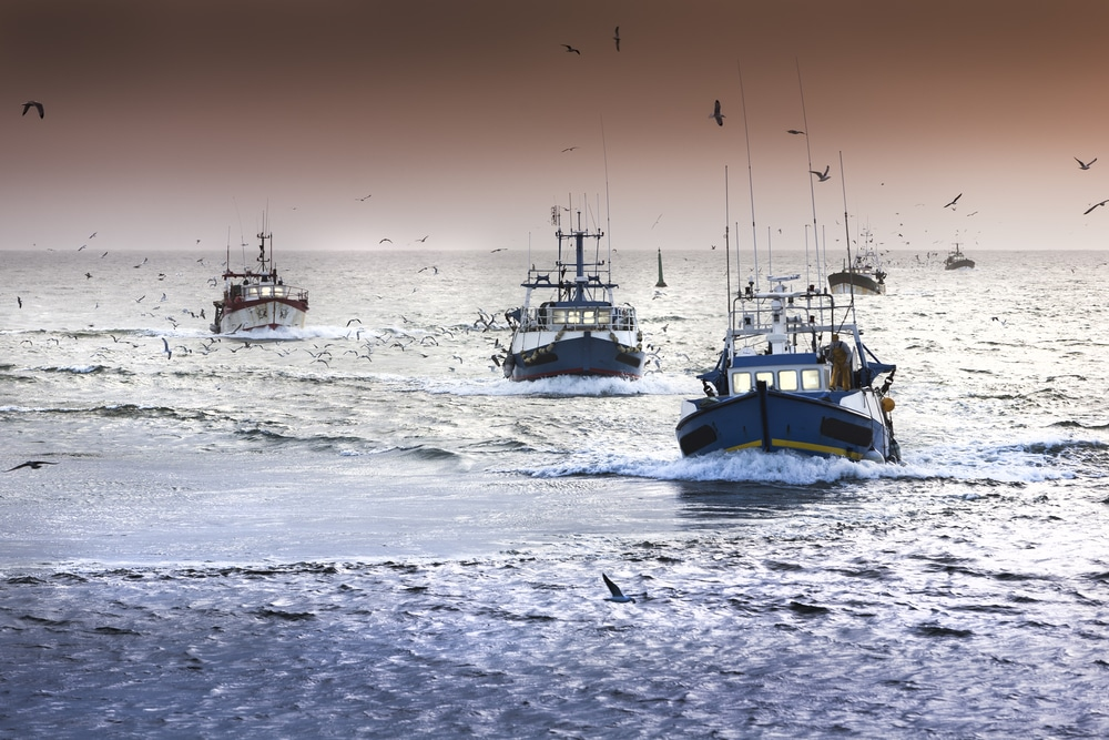 tired,fishing,fleet,getting,back,,france,near,the,atlantic,ocean